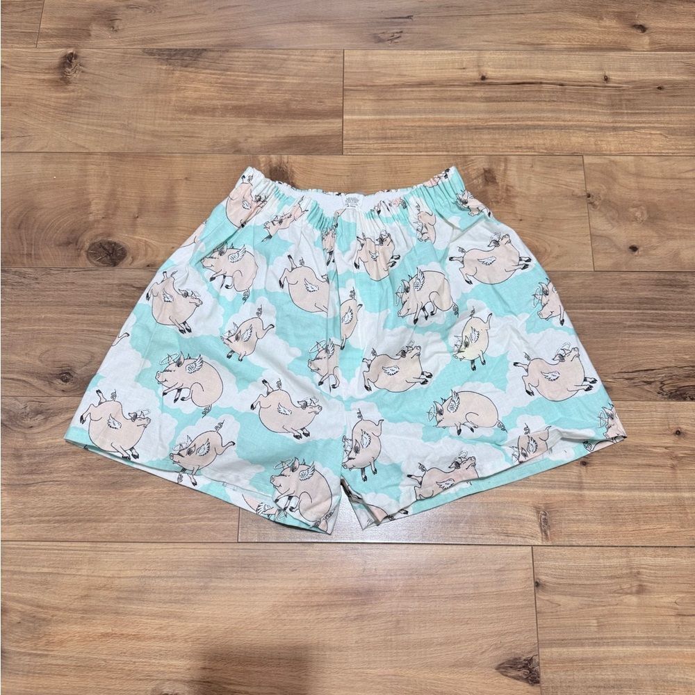 Rebellion Virginia Beach Women Shorts Size M 24‎
